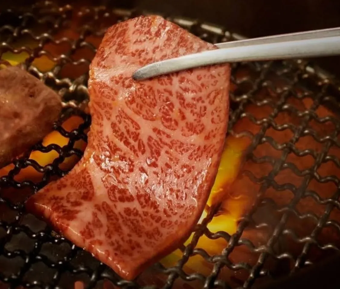 炭火の網で焼かれる霜降り和牛